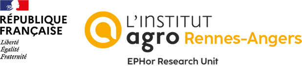Ephor Research Unit