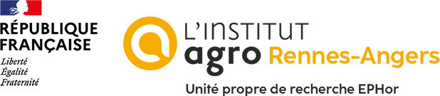 Unit Ephor Logo